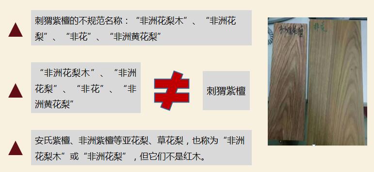 刺猬紫檀