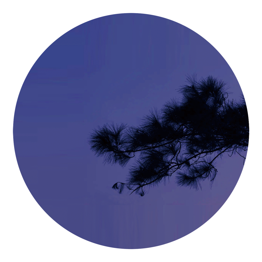 微信圖片_20220723171533.png